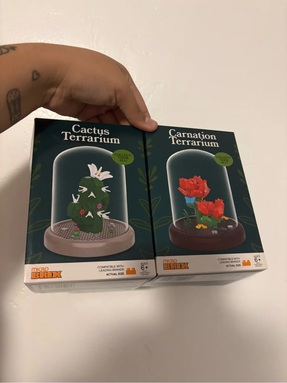 Floral Terrarium Build Sets - Carnation & Cactus